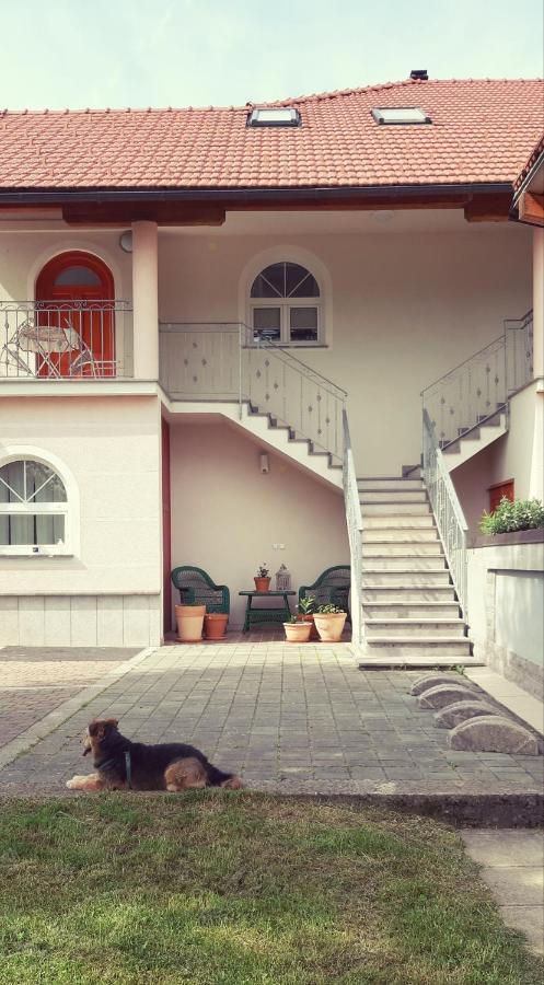 Prenocisca Angelin Hram, Tiny Apartments Markovec Екстер'єр фото