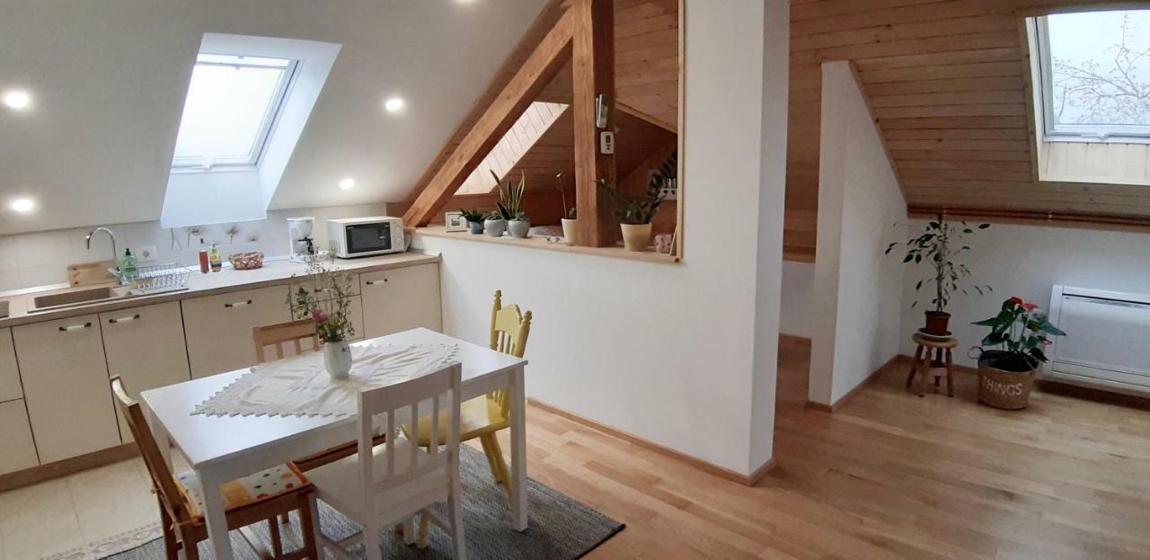 Prenocisca Angelin Hram, Tiny Apartments Markovec Екстер'єр фото